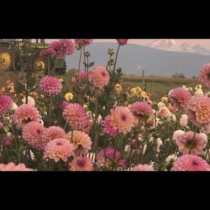 Meet your Posher, Bethany